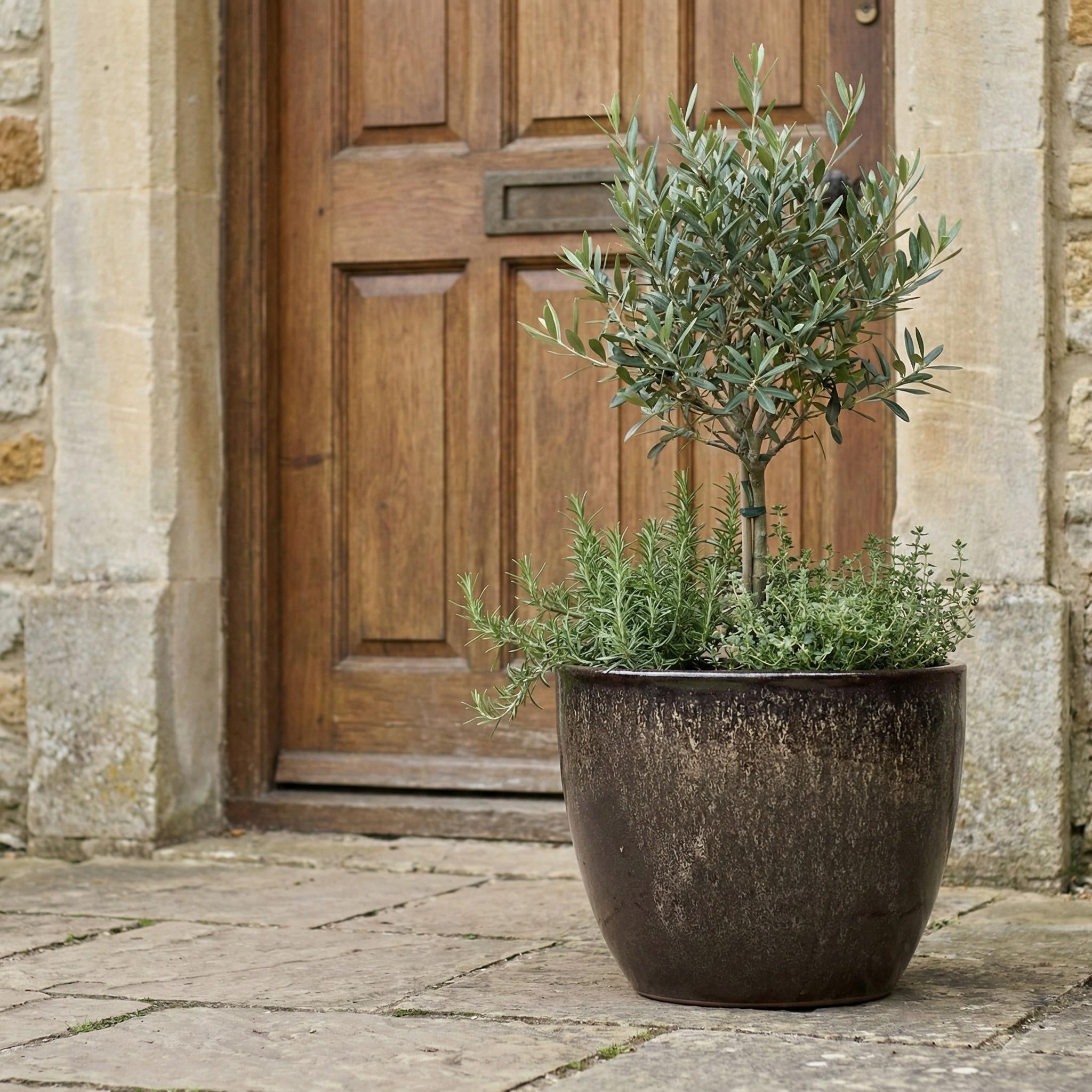 Premium Glazed Ceramic Planter – 100% Frost-Resistant and Handmade. Egg Pot Flower Pot with Drainage Hole for Indoor/Outdoor Use. Color: Brown